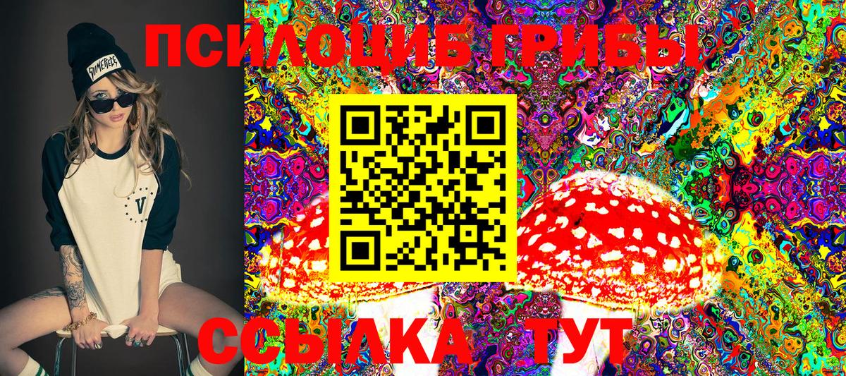 Псилоцибиновые грибы Psilocybine cubensis  Галлюциногенные грибы Psilocybe  Белово  Вход с VPN 